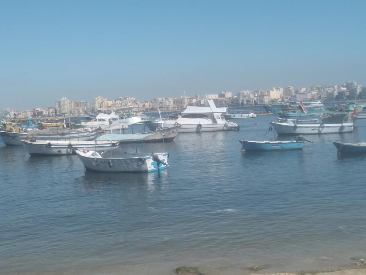 Affordable Downtown Free Wifi Steps To Sea Alexandria
